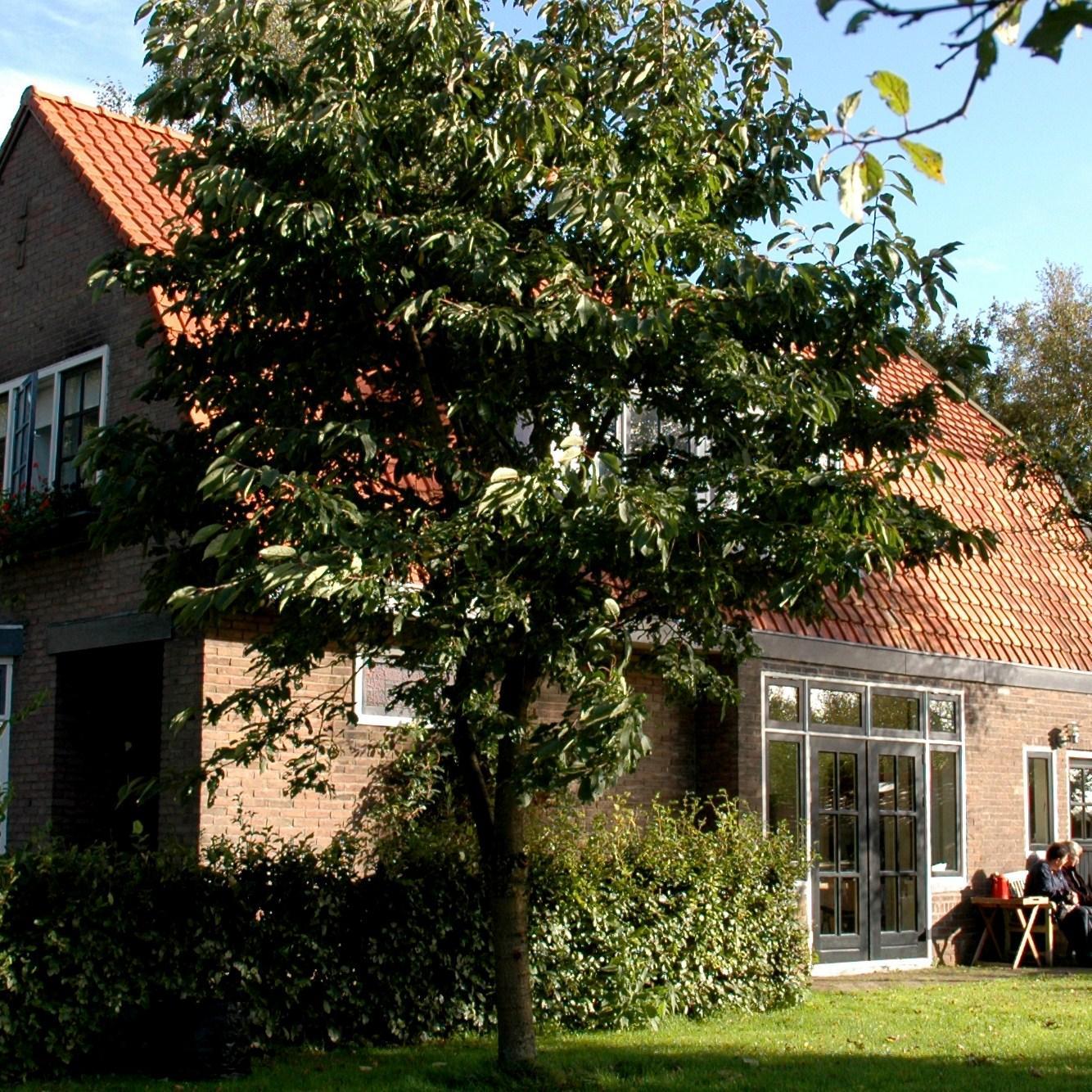 DeMeppelerweg's profile picture. Twitteraccount van Camping B&B `De Meppelerweg` van Ronald van Vlijmen & Ina Hilberts, Steenwijk.