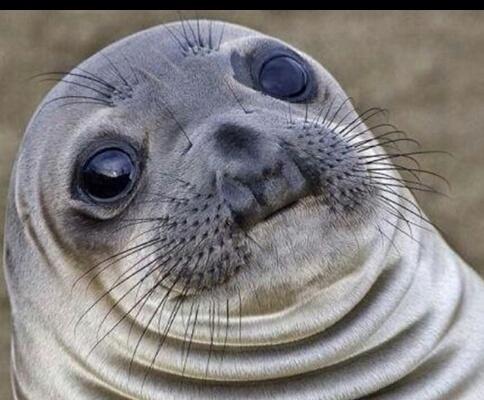 annie_M4E's profile picture. All Time Low, The Maine, BMTH, SWS,Panic! At The Disco, Blink-182, Capital Cities,The 1975, TMB ,Daft Punk, Queen... Music is my life FUCK YEAH!! I3youtubers