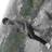 Aman_2023's profile image