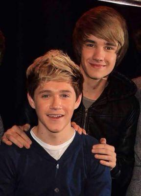 Directioner's & Coder's