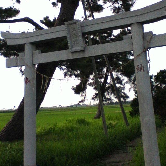 吉緑が無いと生きられない系手遅れ吉緑夫妻クラスタ。最近はTL見つつスマホでせっせとお絵描きしてます。ダイゴさんに採掘される石になりたい。アイコンは歌花ちゃんからですよ！美人！
