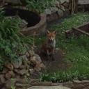 Rob Walton - @baguarjw - Twitter