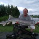 david millman - @damageit2 - Twitter