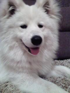 DudaRoa's profile picture. 