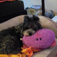 Beth Hallwerck (@bethanne55) 's Twitter Profile Photo Beth Hallwerck (@bethanne55) 's Twitter Profile Photo
