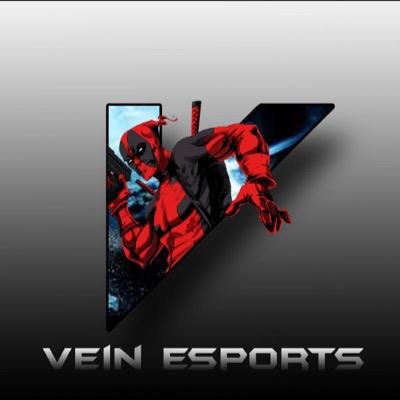VeineSports's profile picture. Counter Strike: Global Offensive Team.