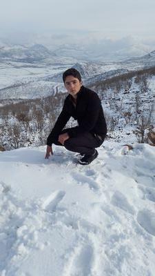 RaminRebwar's profile picture. 