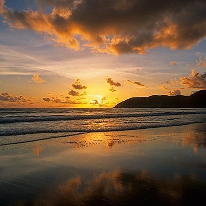 todopoder98_dos's profile picture. 