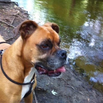 tjveds's profile picture. 