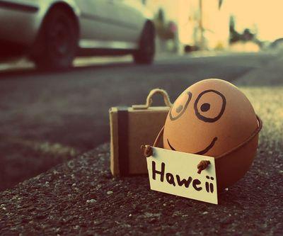 DurduMartin's profile picture. Ist immer online