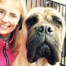 GreetjeKroes's profile picture. Bullmastiff, the Peatcutters