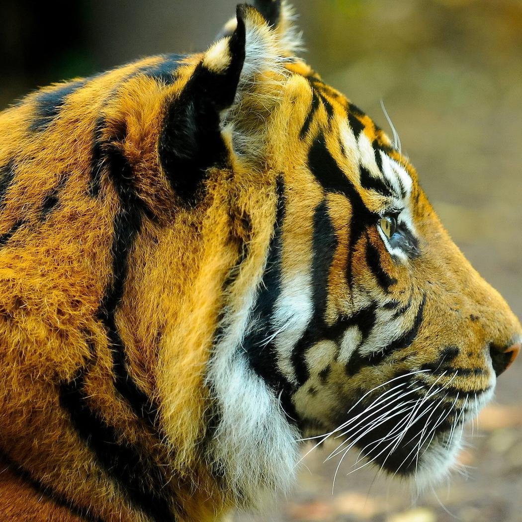 MusBmr's profile picture. 