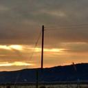 Regina McKee - @geneee8 - Twitter