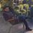 Davideq8's profile image