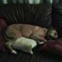 Hazel Brady - @BHazel66 - Twitter