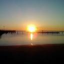 David Wiley  - @Wildman_Wiley86 - Twitter