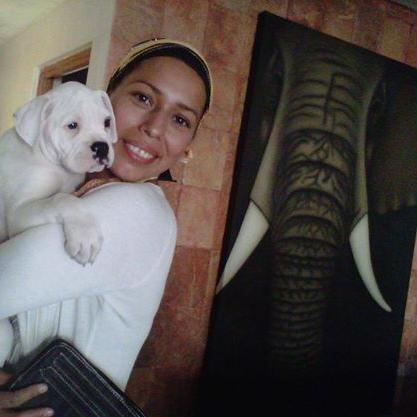 BereshitbaraEl's profile picture. costo.