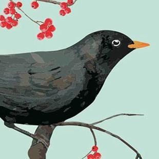 chef_4lan's profile picture. 