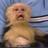 TheGnome26's profile image