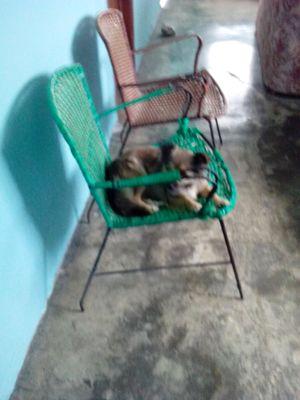 fran10rivero's profile picture. 