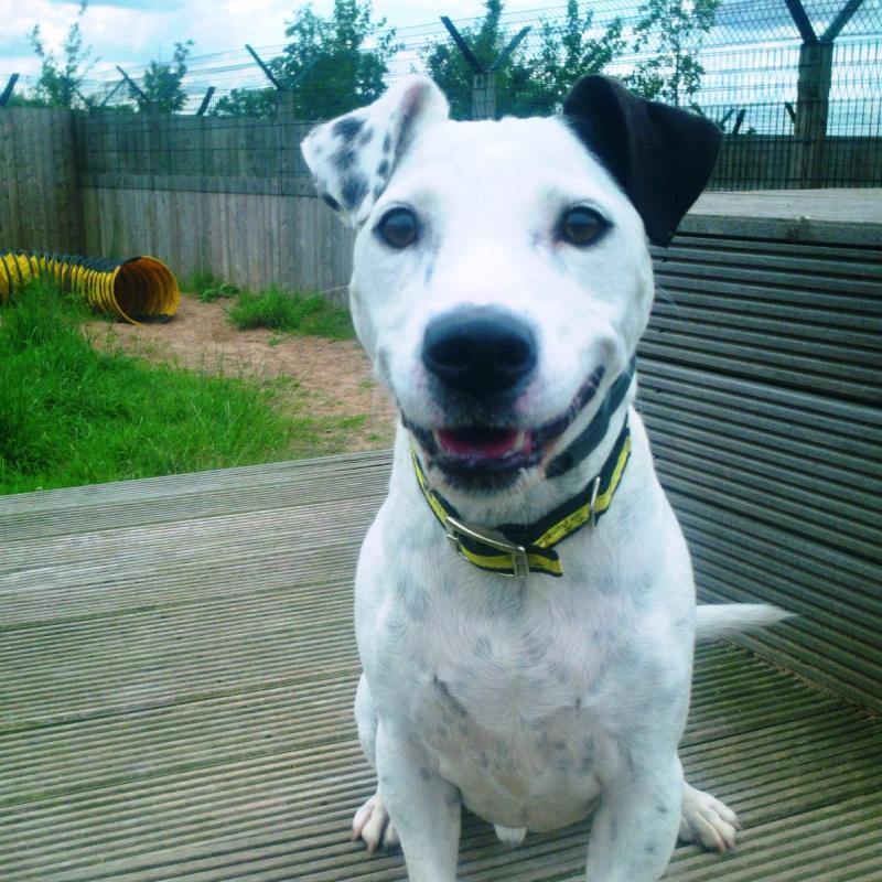 NellyBates55's profile picture. 