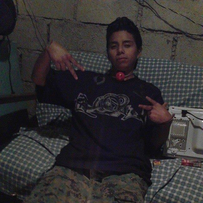 JOSEDOSPC593's profile picture. 