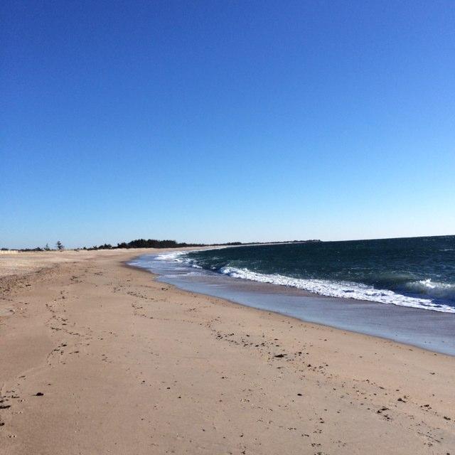 MarenNelson4's profile picture. 