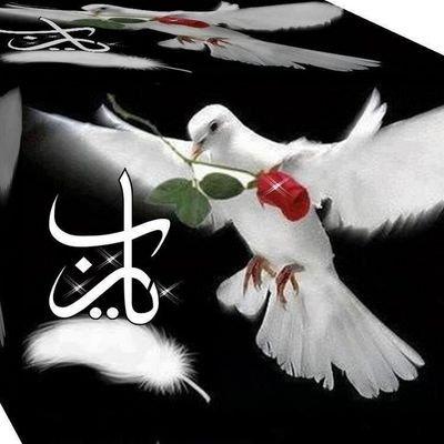 ❤️ ربِّ اغفر لي ولوالديّ ولأحبتي وللمؤمنين والمؤمنات والمسلمين والمسلمات الأحياء منهم والأموات. ❤