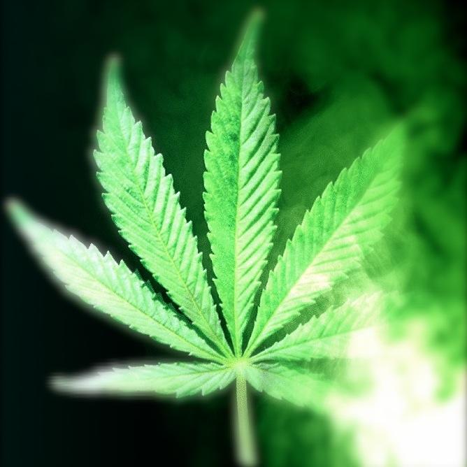We collect and share the best Pot Thoughts, Weed Thoughts, High Ideas  created by or likely to be appreciated by stoners. Tag your HighIdea with @PotThoughtsNet