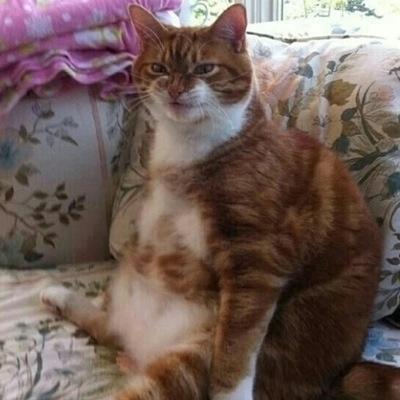 moobot74's profile picture. I don't like you  -.-