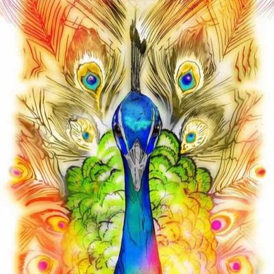 HJ08120911's profile picture. 