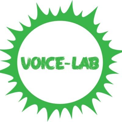 _voicelab's profile picture. Audio Factory in A Heart of Indonesia 

V-Tune Amplifiers & Vinewood Guitars ((Handmade))