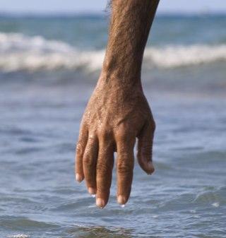 hayferbrea's profile picture. Artista Visual.