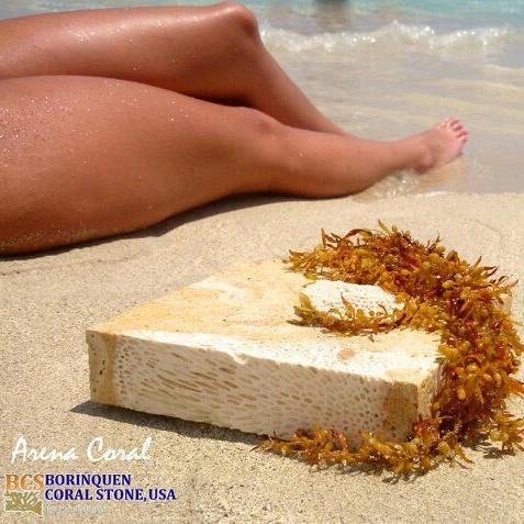 Borinquen Coral Stone, USA By Juan F. Nieves. Direct from our own quarry in Santo Domingo. Contact Juan Nieves (786) 355-4942
jnieves@borinquencoralstoneusa.net