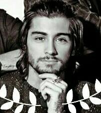 Dedicare mi vida a mandarle tuits a Zayn ♡