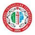 İstanbul Yozgatlılar Federasyonu (@iyf3466) Twitter profile photo
