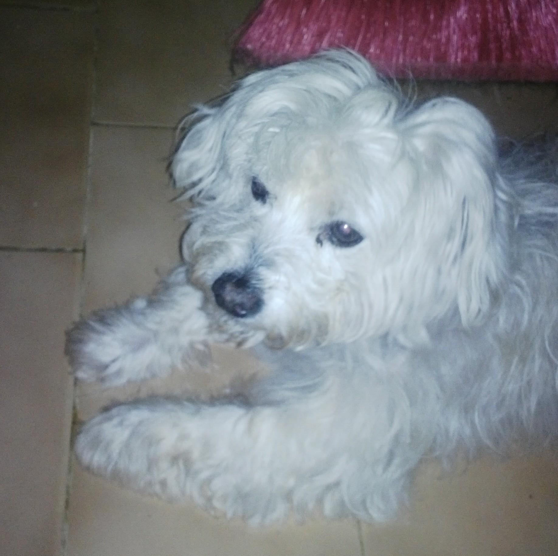 asierra02's profile picture. 