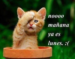 la vida es muy lindo