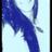 MirellaaLeon's profile image