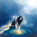 Comunidad Indigo (@indigosco) Twitter profile photo