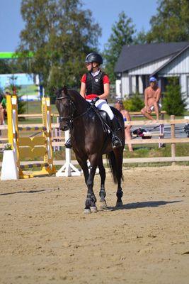 JBVerro's profile picture. 