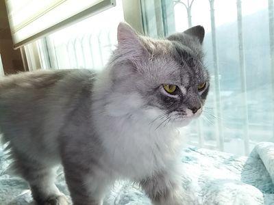 Amyingod's profile picture. 12차 항암