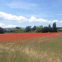 André Jacquet - @Monestiers - Twitter