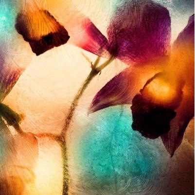 BrtiniSamras's profile picture. 