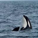 Sandi McDonald - @McdonaldSanmcd - Twitter