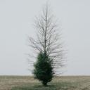 Tom Luka - @nirvana36928 - Twitter