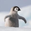 Evan Briones - @TT_Phantom_TT - Twitter