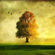 - Lessen | knows his stuff | not a tree
