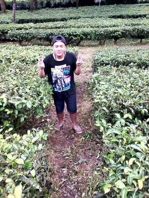 Batang mati ()+3t)*)