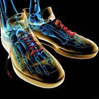 3danimacion1a's profile picture. Creamos muchos modelos 3d de alta calidad y prestigio